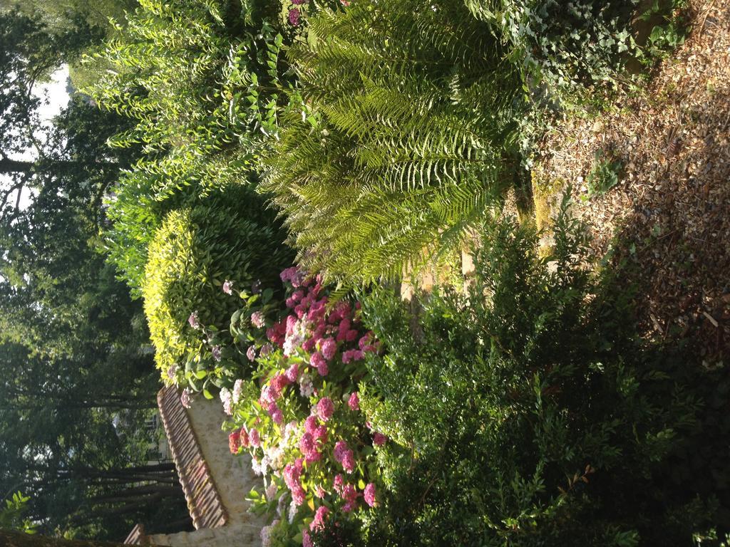 Les Hortensias Clermont  Exterior photo